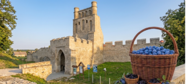 Szydłowiec, Chlewiska i Święto Śliwki